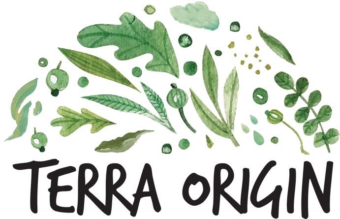 Terra Origin